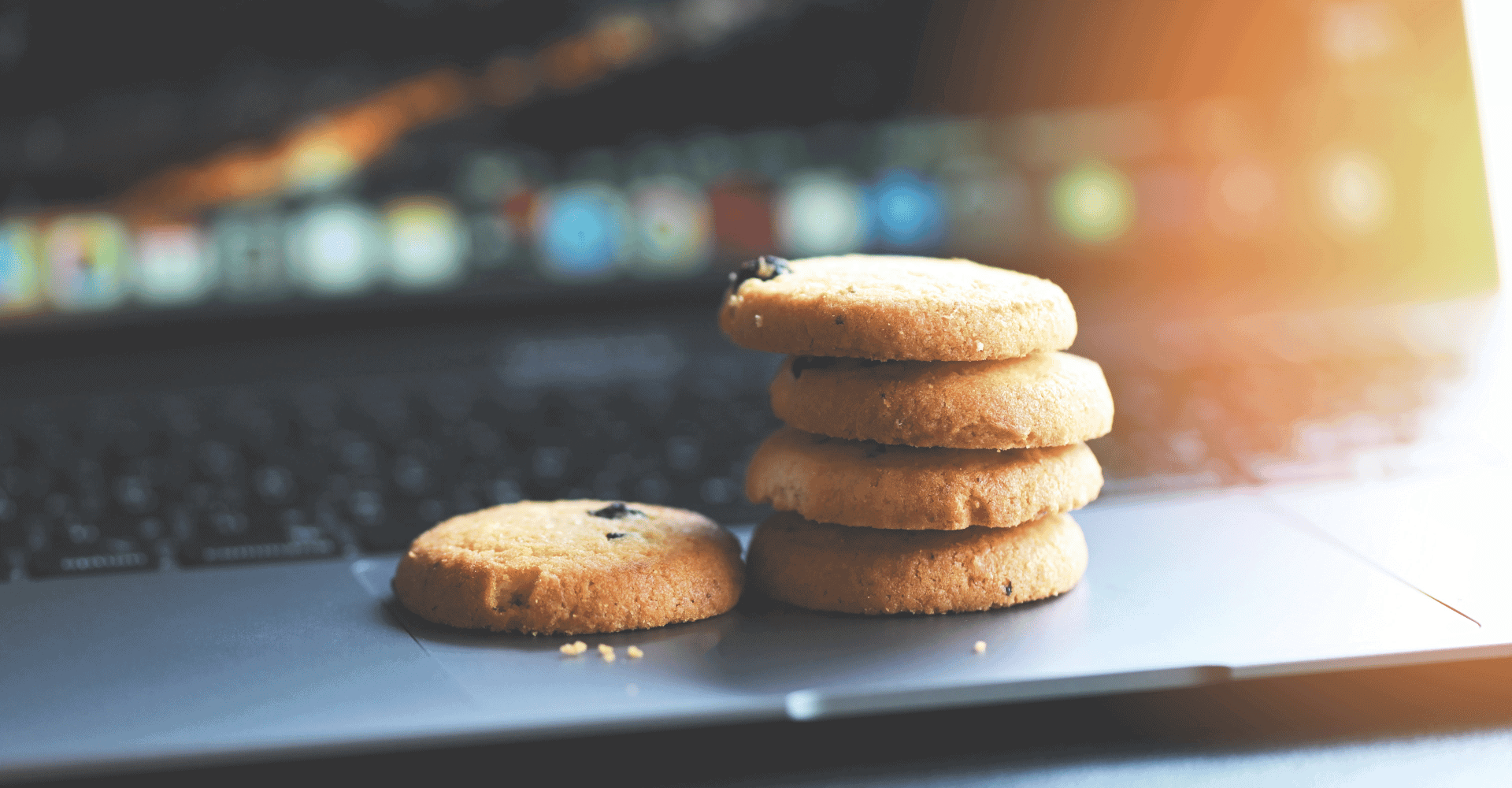Alles über Cookies: Definition, Funktion und Bedeutung